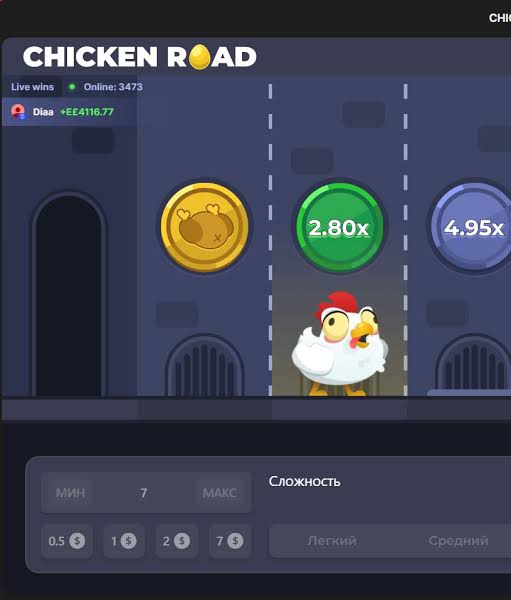 Chicken Road 2 Una aventura emocionante en el mundo aviar